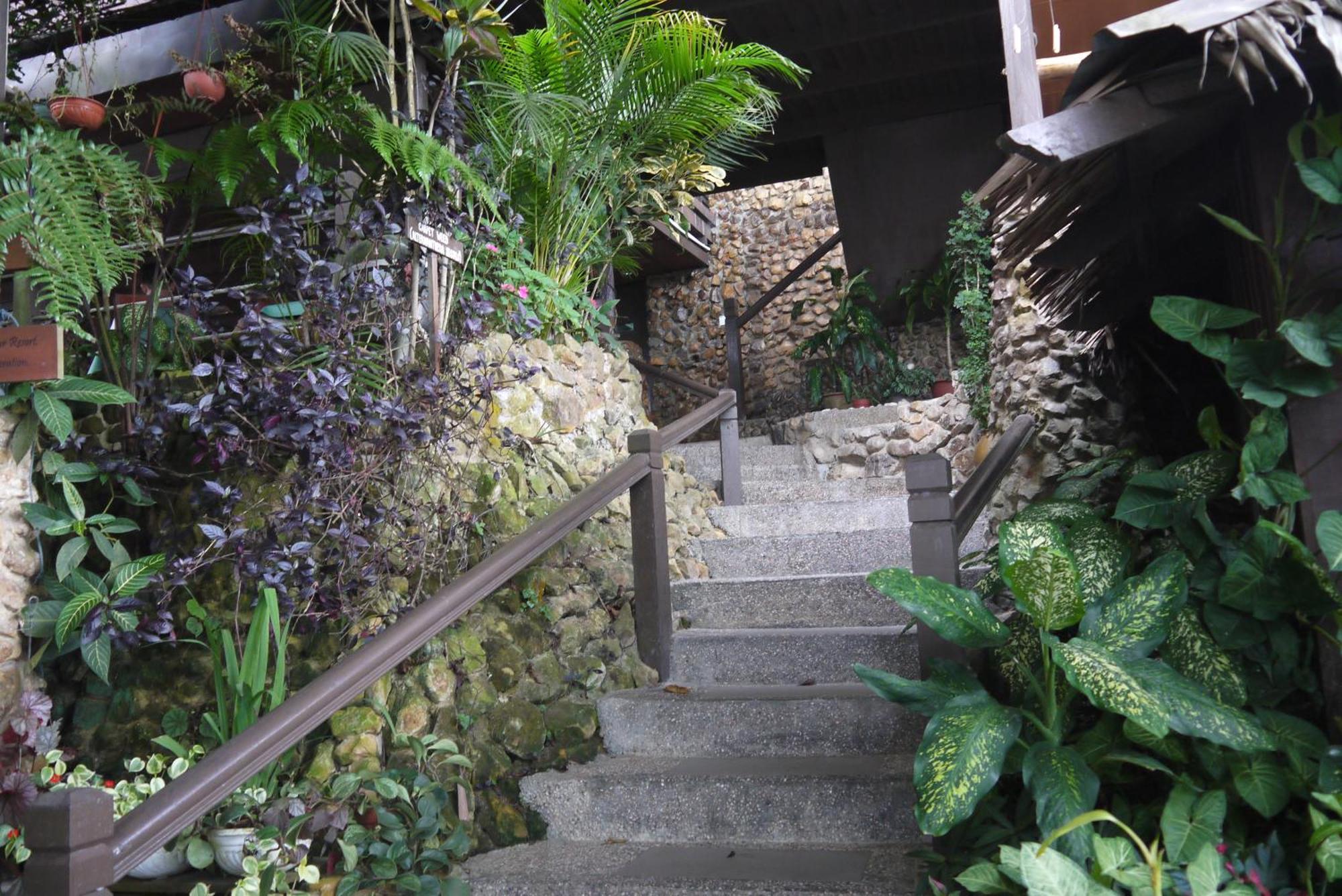 Kasih Sayang Hill Resort Kota Kinabalu Exterior photo